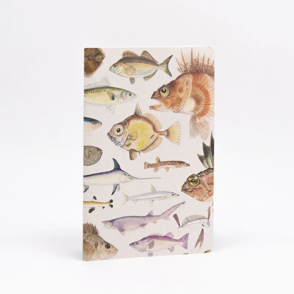 100% NZ - Notebook - Fishes of NZ Notebook Set of 3