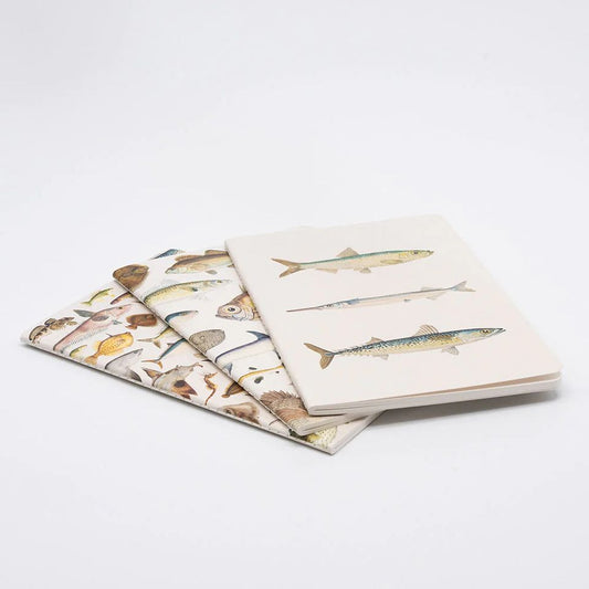 100% NZ - Notebook - Fishes of NZ Notebook Set of 3