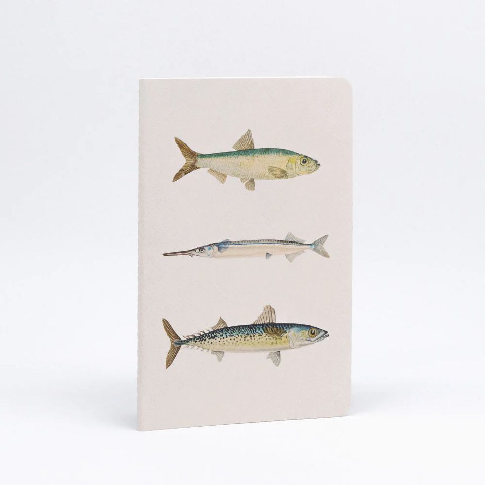 100% NZ - Notebook - Fishes of NZ Notebook Set of 3