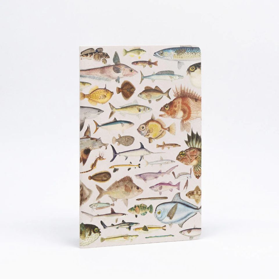 100% NZ - Notebook - Fishes of NZ Notebook Set of 3