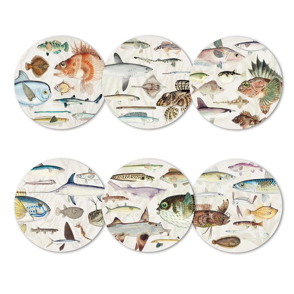 100% NZ - Coasters - Fishes of NZ Set of 6 Coasters
