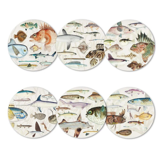 100% NZ - Coasters - Fishes of NZ Set of 6 Coasters
