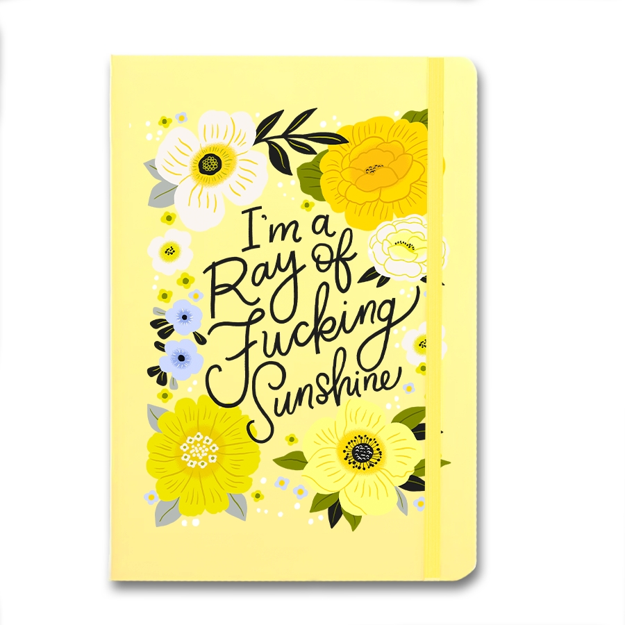 Disrupted Industries Motivational Notebook - I'm A Ray of F*cking Sunshine
