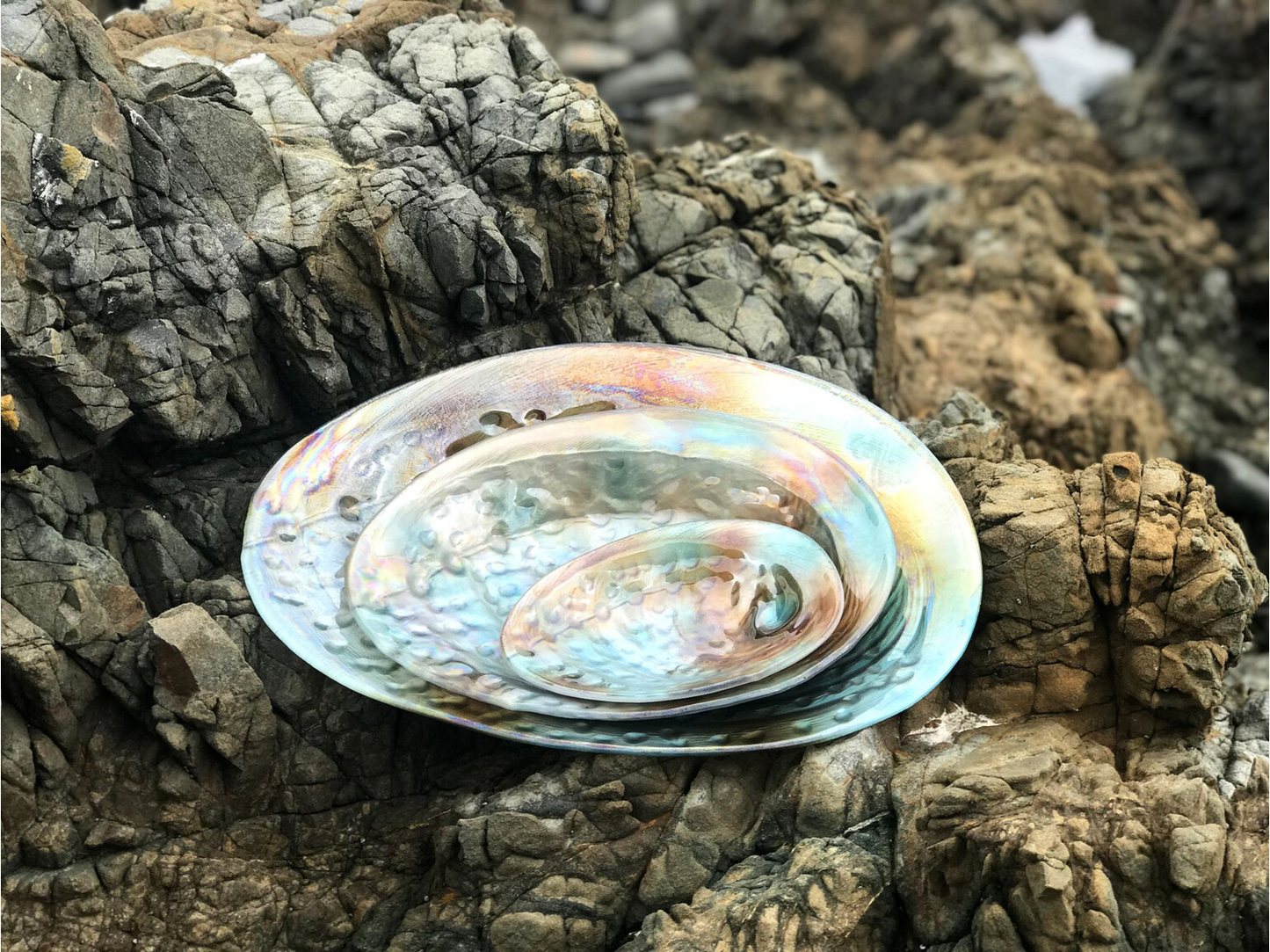 Moana Road Bowl - Glass Paua Bowl (20cm)