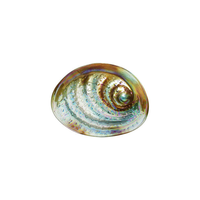 Moana Road Bowl - Glass Paua Bowl (20cm)