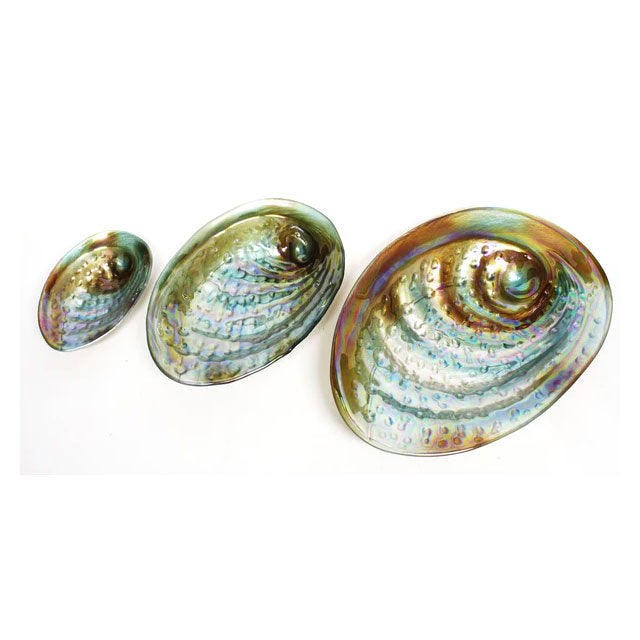Moana Road Bowl - Glass Paua Bowl (20cm)