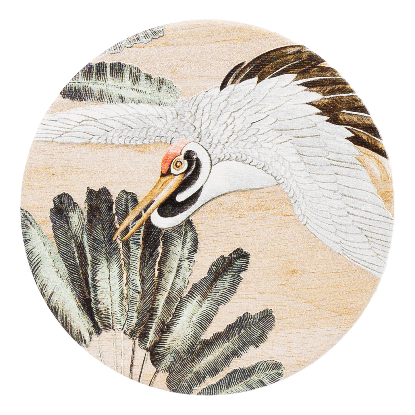 Splosh Coasters - Exotic Crane Ceramic Coaster