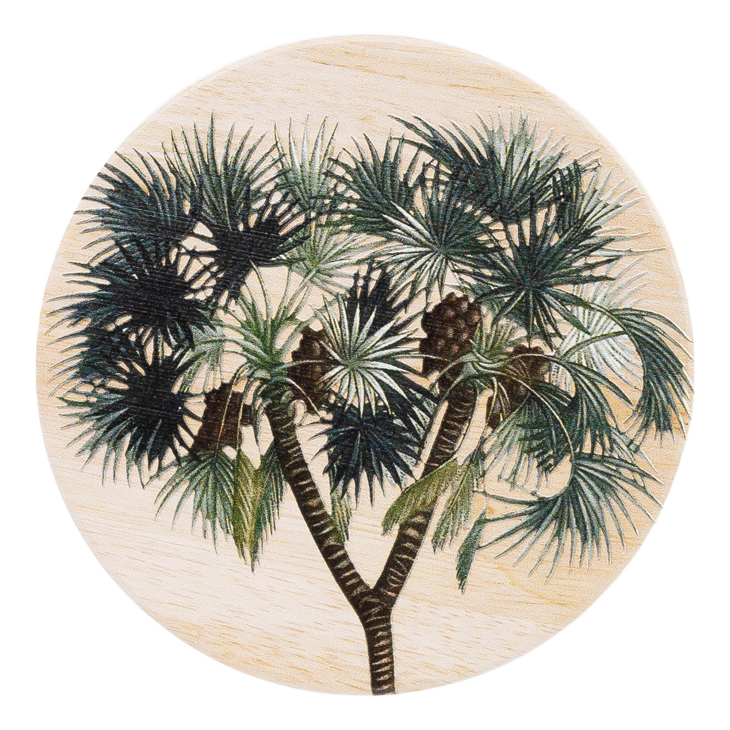 Splosh Coasters - Exotic Yucca Ceramic coaster