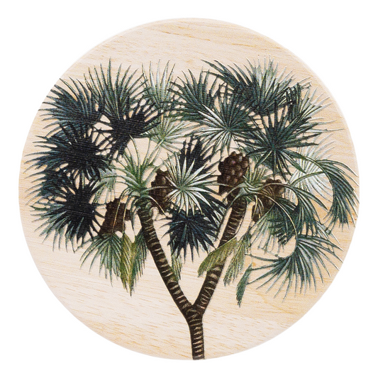 Splosh Coasters - Exotic Yucca Ceramic coaster