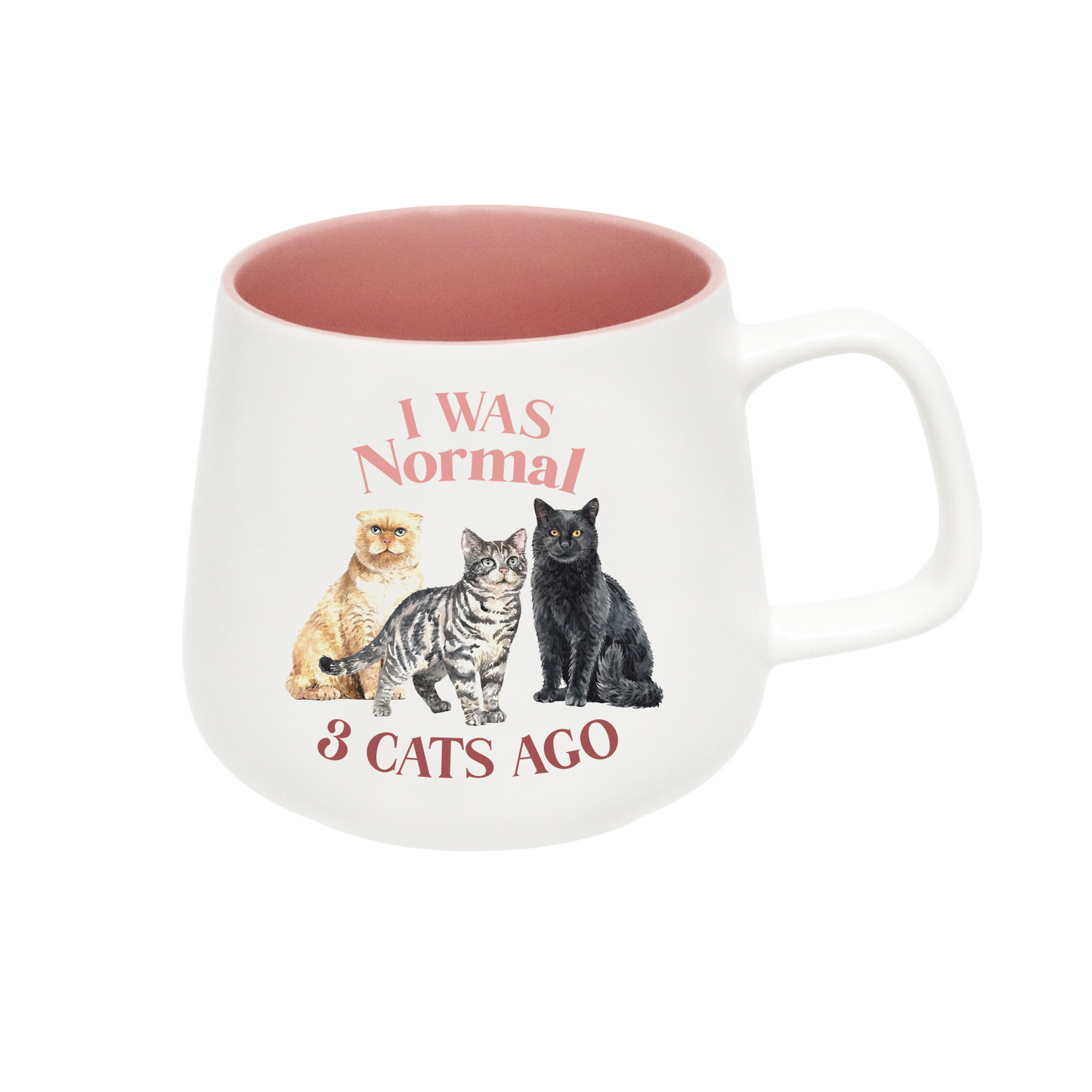 Splosh Mug - I Was Normal 3 Cats Ago