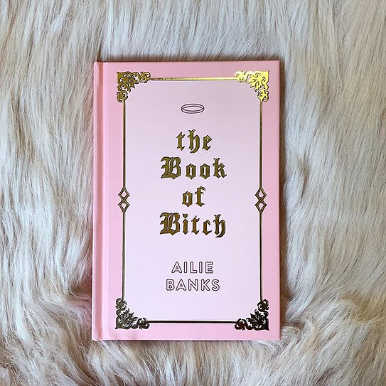 Books - The Book Of Bitch by Ailie Banks