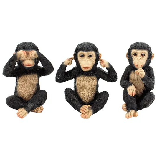 Hear/See/Speak Chimps - Set of 3