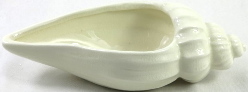 GET POSH - Conch Shell Bowl White Ceramic 24x11 cm