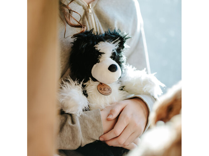 Moana Road - Rex the NZ Sheepdog Soft Toy