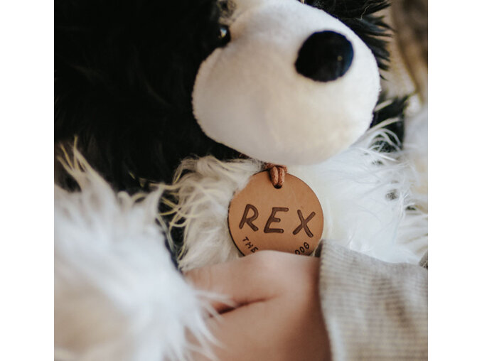 Moana Road - Rex the NZ Sheepdog Soft Toy