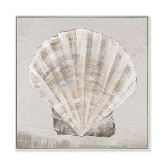 Shell Study - Framed Canvas Print 50x50